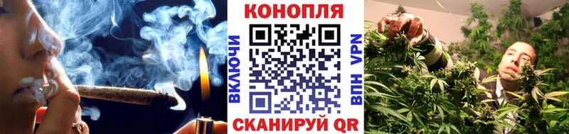 Где купить наркоту Шилка АМФ  Галлюциногенные грибы  A PVP  Марихуана  КОКАИН  Меф 
