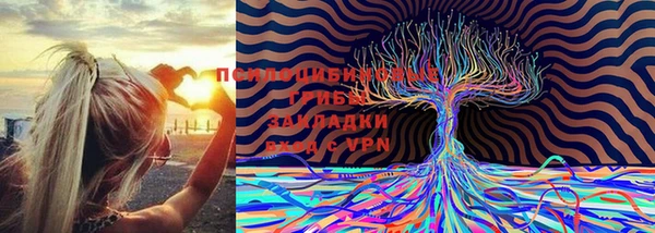 спиды Абдулино