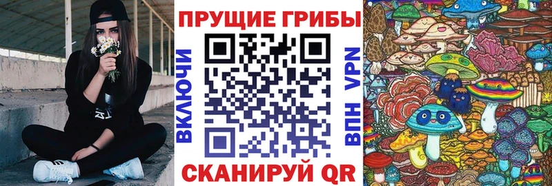 Галлюциногенные грибы GOLDEN TEACHER  Шилка 